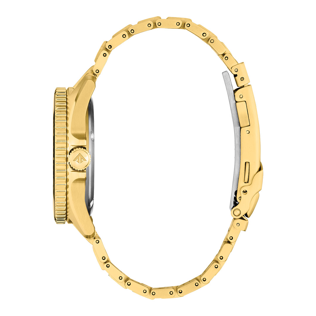 Gold Promaster Citizen Promaster Gold Grün Uhr BN0262-59W